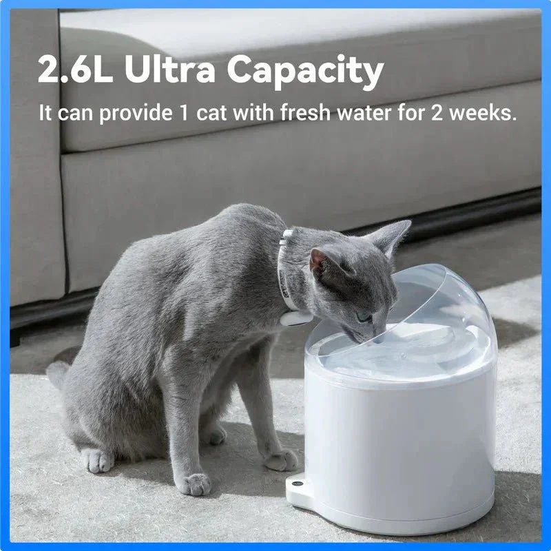 CATLINK W02 Intelligenter AI-Wasserbrunnen – Pure 2