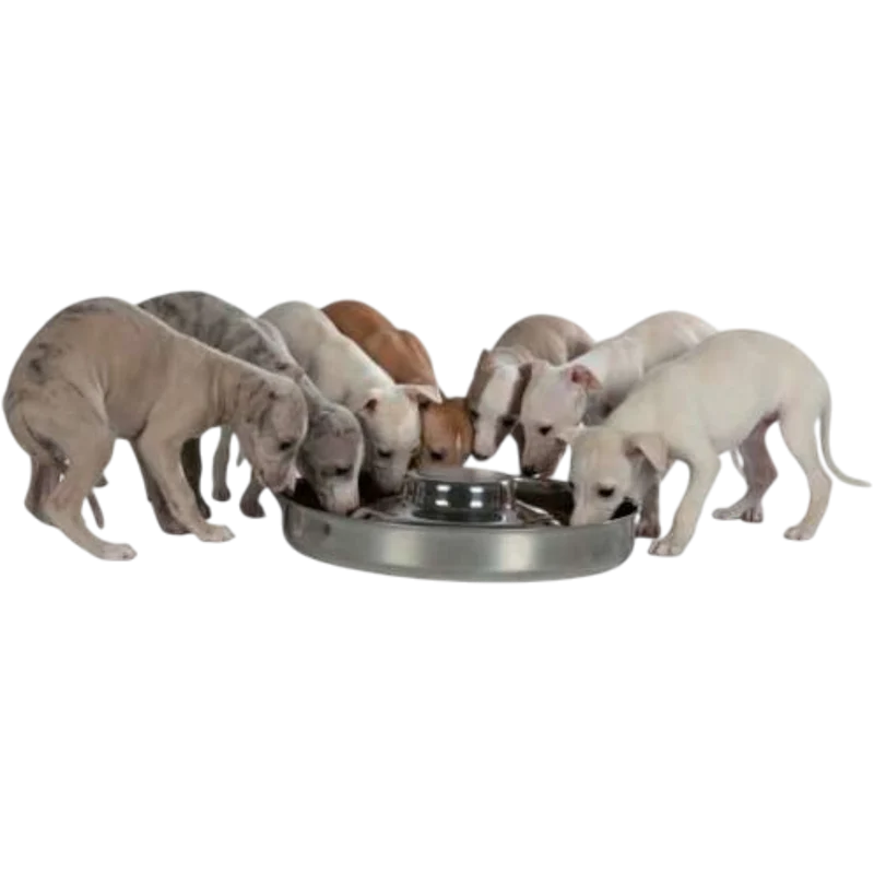 Trixie Edelstahl-Welpennapf – Die perfekte Lösung für mehrere hungrige Welpen!