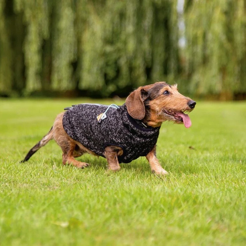 Beeztees Hundepullover Celia – Mit Reflexionsstreifen & Doppelreißverschluss