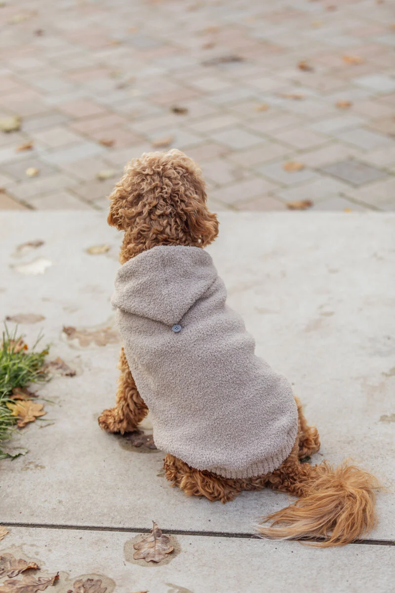 Hoodie Carson