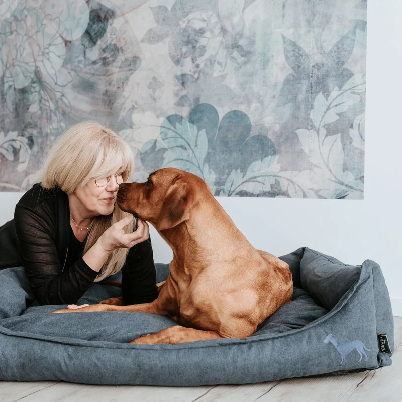 Hundesofa Eiby