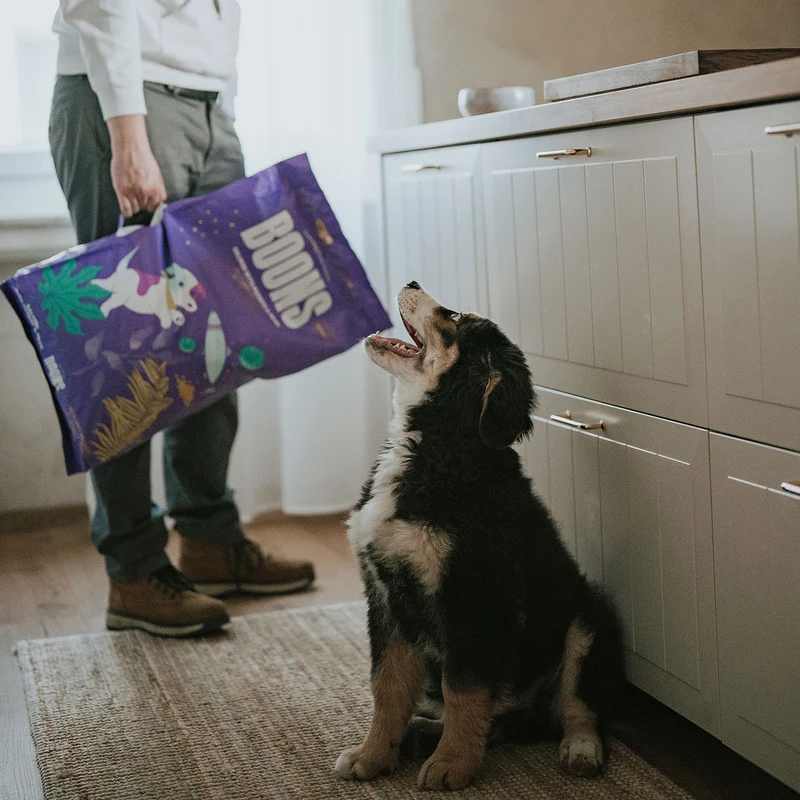 Hundefutter Boons Lachs (für Welpen mittlerer und großer Rassen)