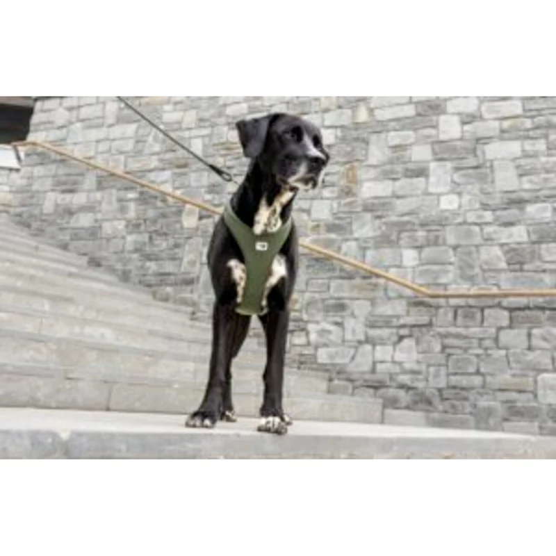 All New Belka Harness Air-Mesh Comfort für Hunde