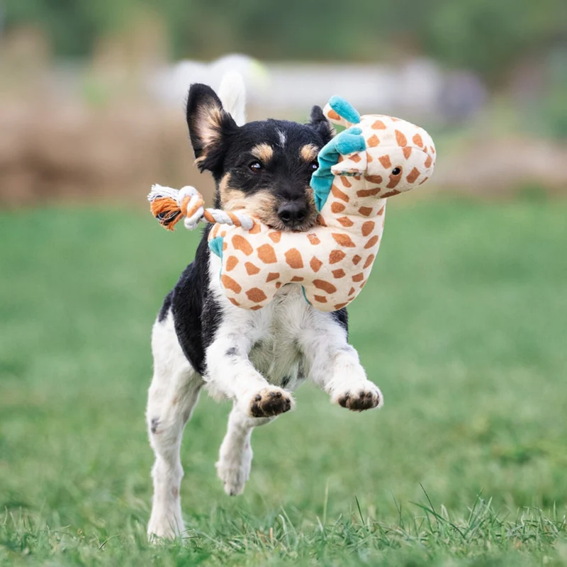 Huggles Hundespielzeug – 12 Varianten für jede Fellnase!