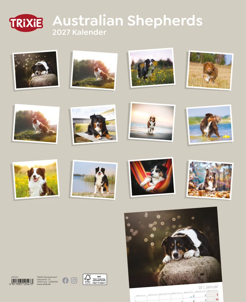 Kalender Australian Shepherd