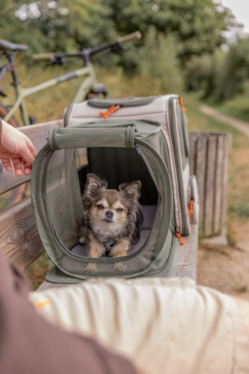Hunderucksack Rocco mit ausklappbarer Liegefläche