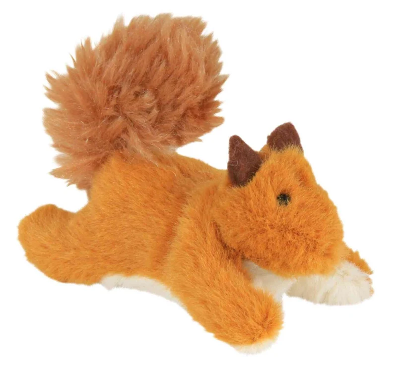 Eichhörnchen