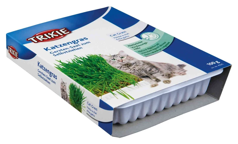 Katzengras