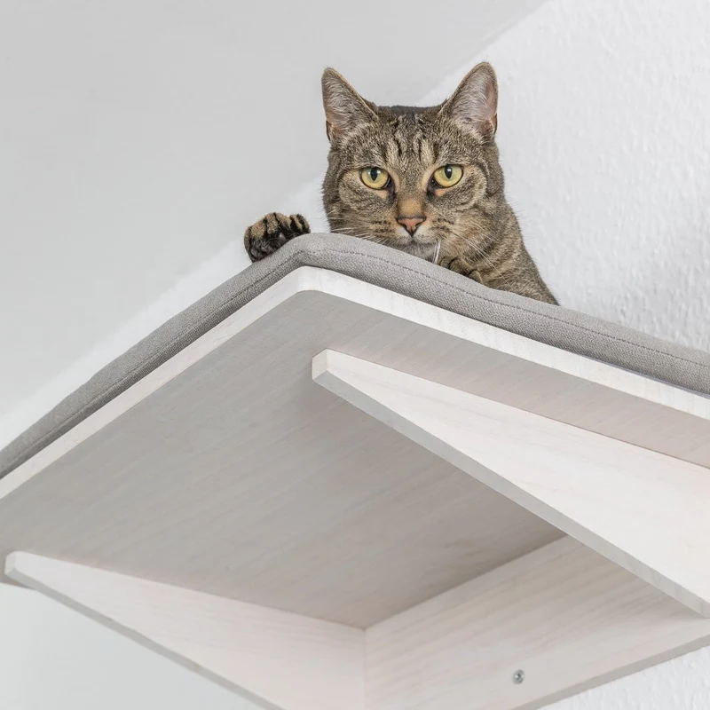 Liegeplatte zur Wandmontage