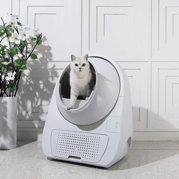 Catlink Young selbstreinigende Katzentoilette