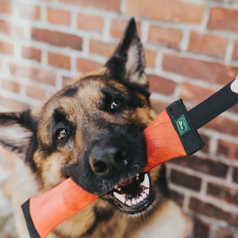 Dummy Trient für Hunde