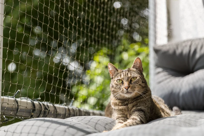 Katzenschutznetz, drahtverstärkt
