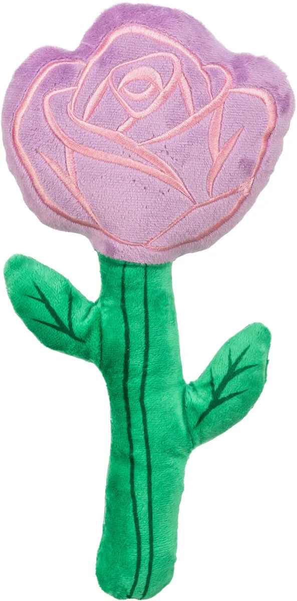 Rose Valentinstag