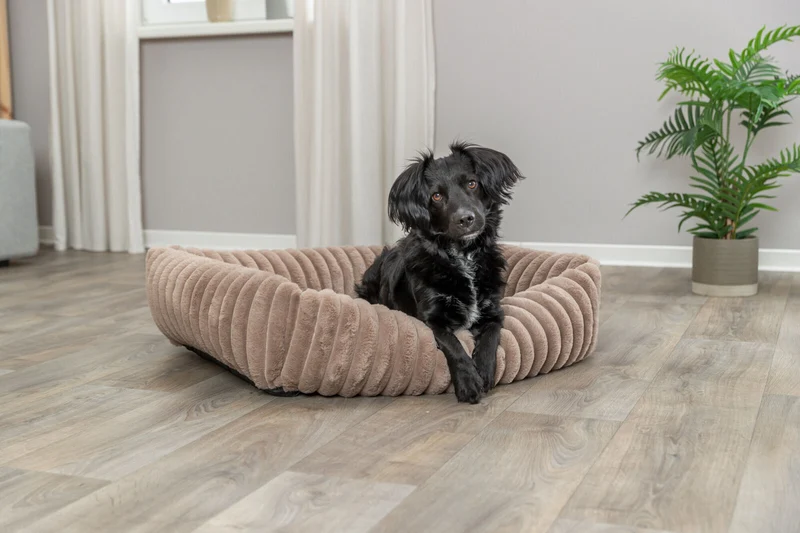Eckiges Hundebett Lonni aus Plüsch mit Rand in Breitcord-Optik