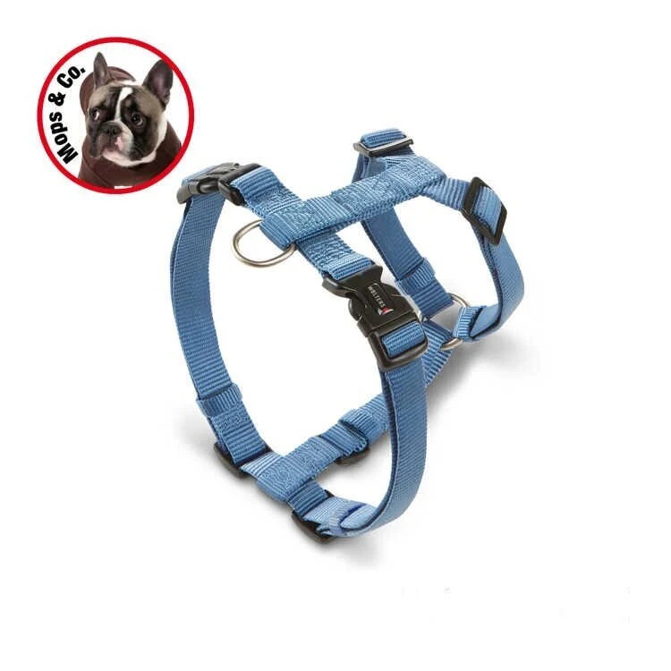 Wolters Professional für Mops & Co Hundegeschirr