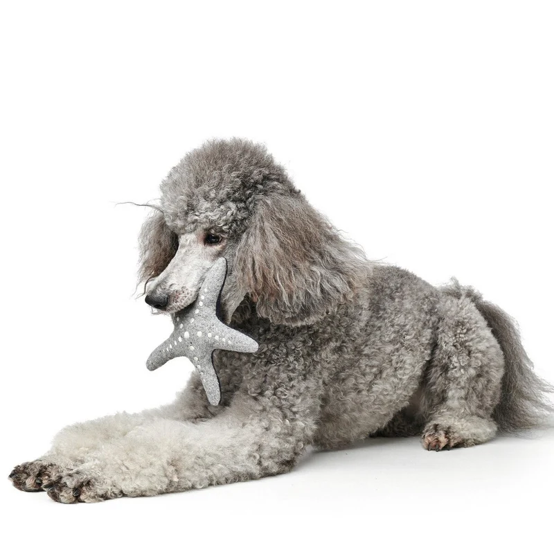 Hundespielzeug Skagen