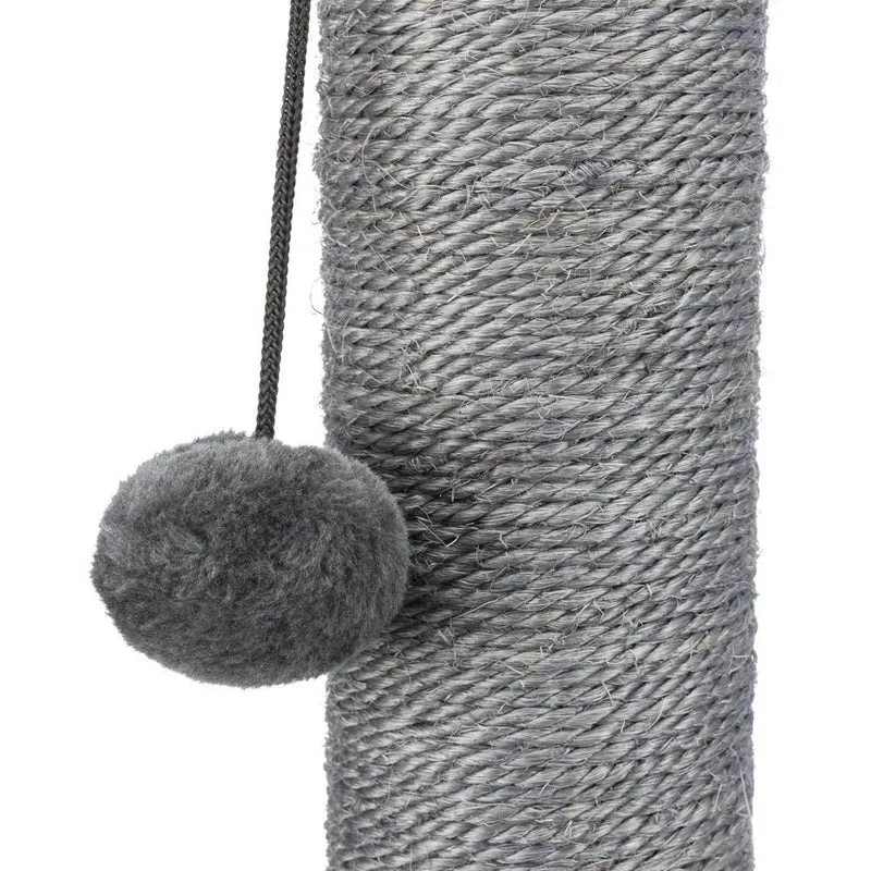 Kratzstamm Livia