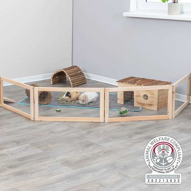 Indoor Freilaufgehege, Meerschweinchen