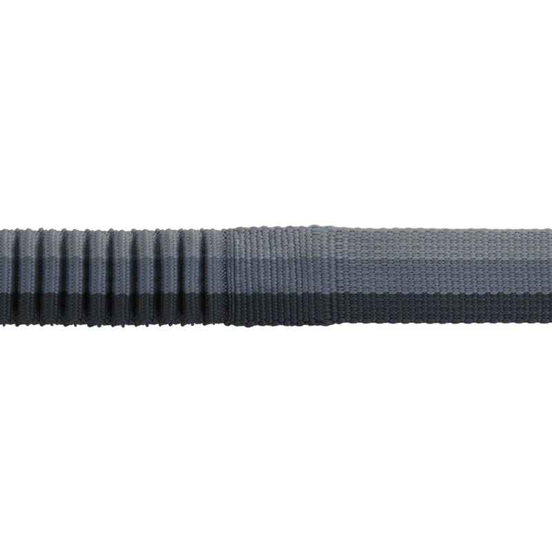 Hundeleine Roamer Leash