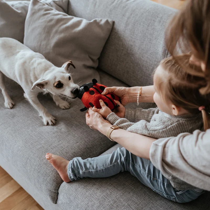 Hundespielzeug Florenz