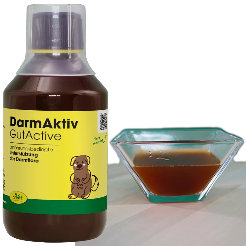 cdVet Dog & Cat – DarmAktiv