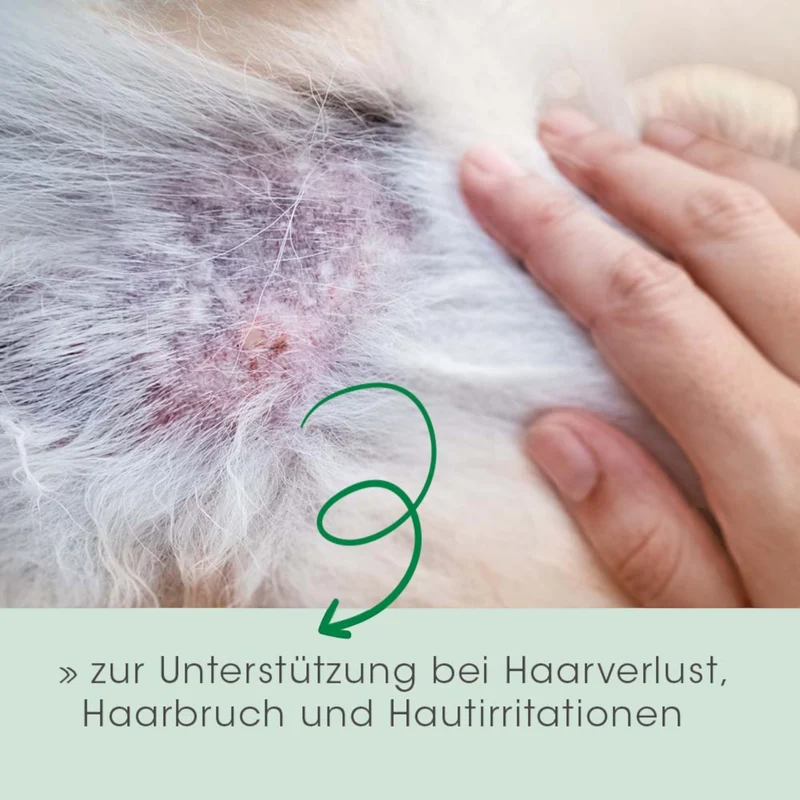 cdVet Dog & Cat – Fell & Haut Vital