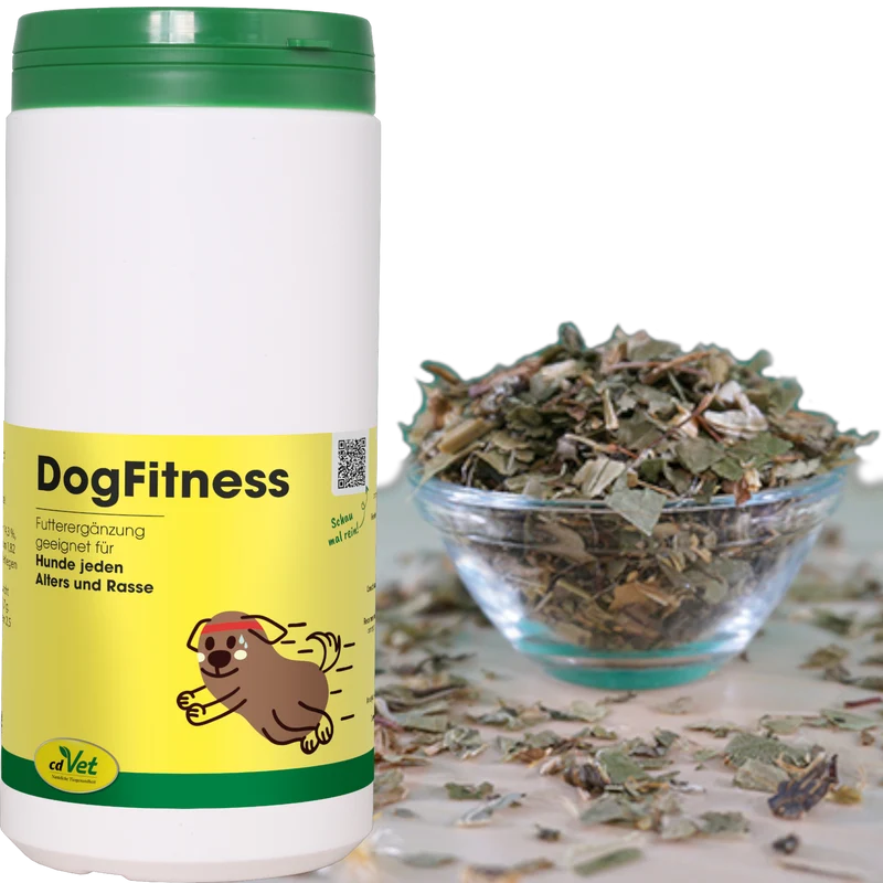 cdVet Dog – DogFitness