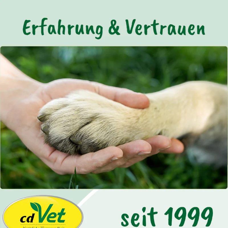 cdVet Dog – DogFitness