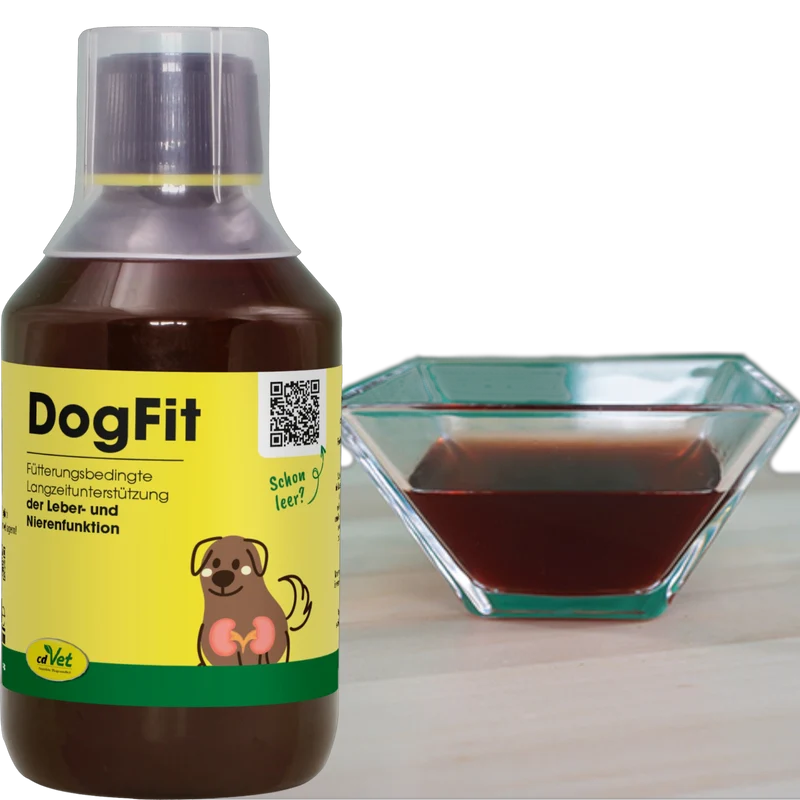 cdVet Dog – DogFit