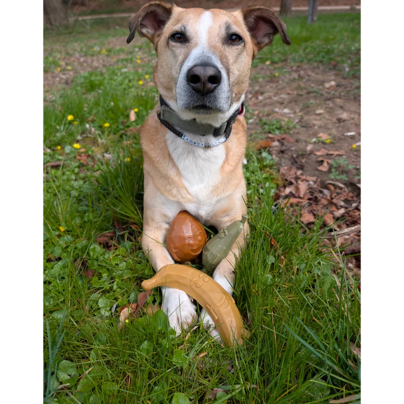 Garden Bites Dog - Fruity Friends
