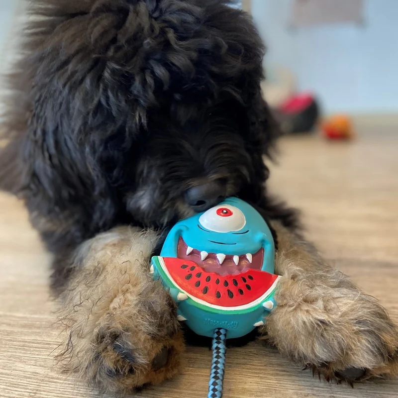 Snuggles Hundespielzeug