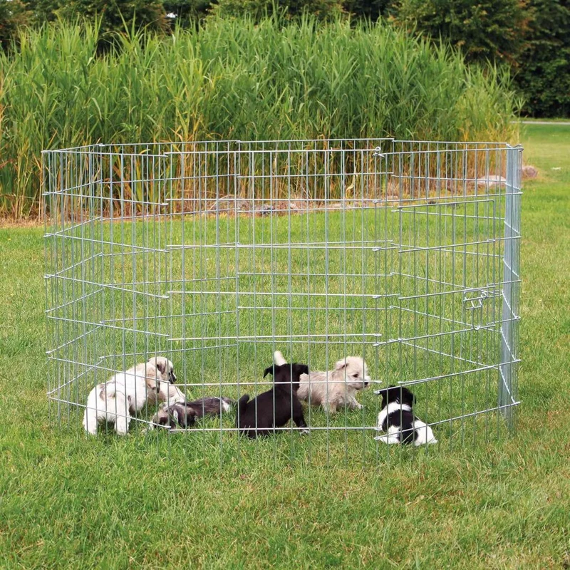 Freilauf für kleine Hunde, verzinkt