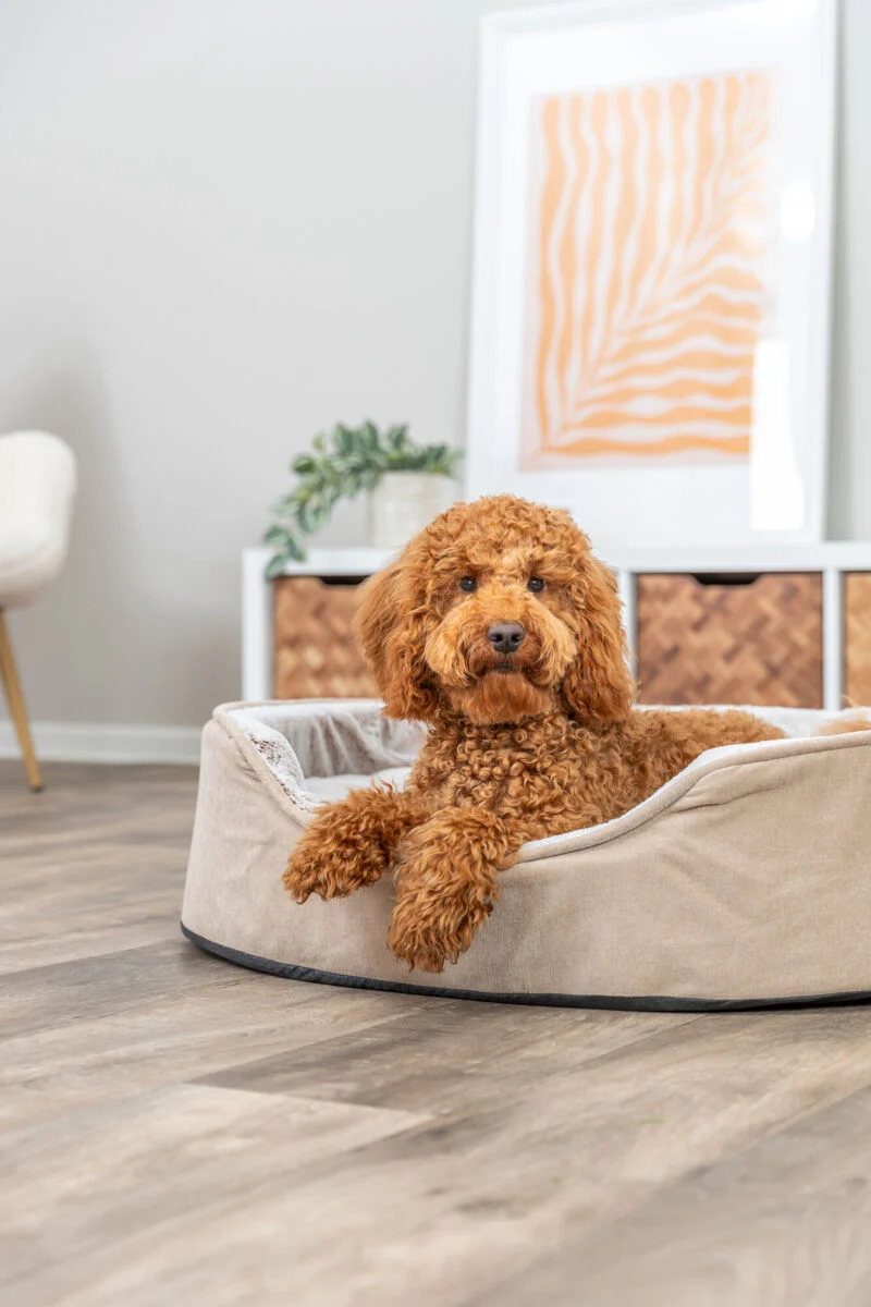 Vital Bett Lino Soft