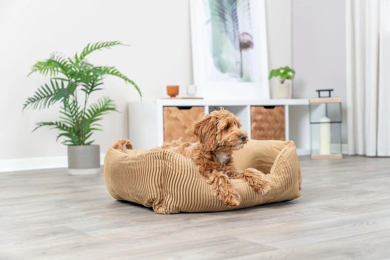 Bett Marley