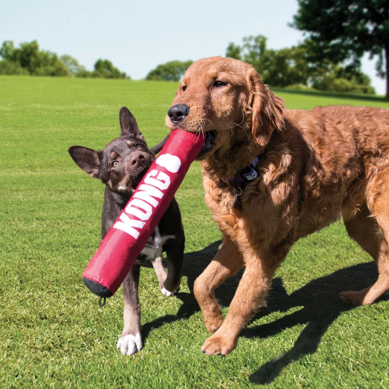 Hundespielzeug KONG® Signature Stick