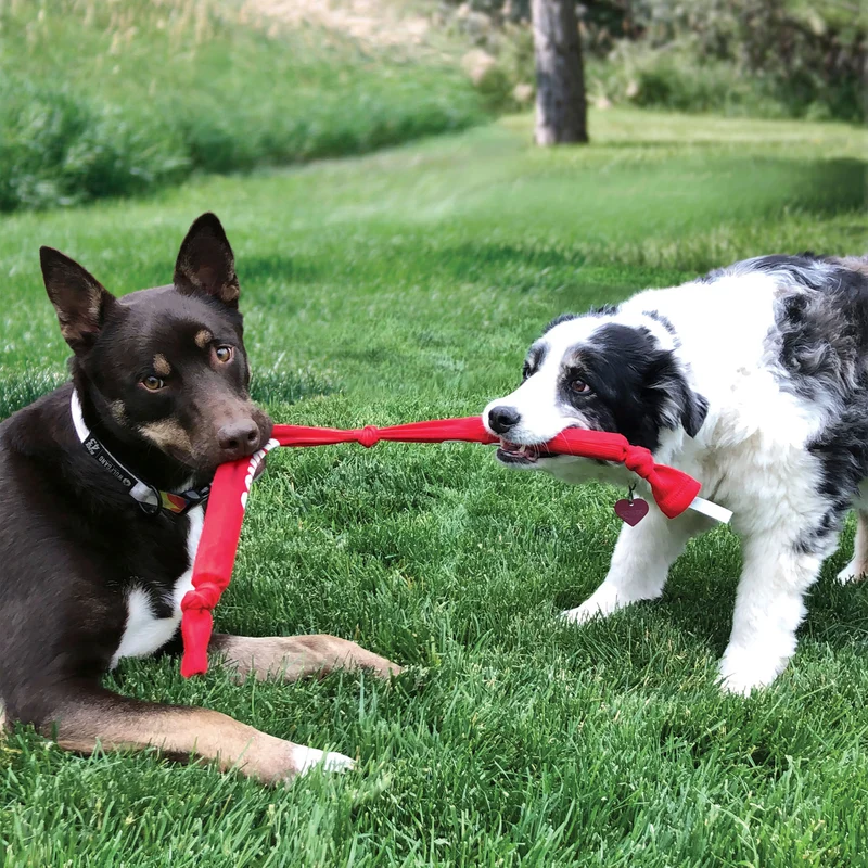 Hundespielzeug KONG® Signature Crunch Rope Single