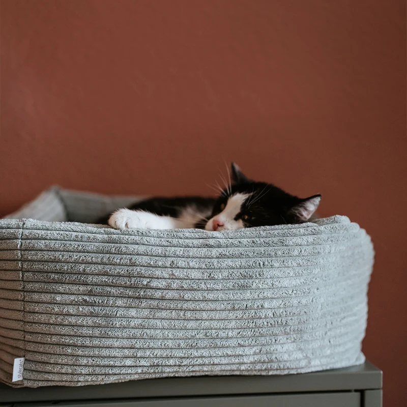 Katzenbett Rimini