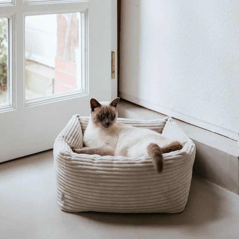 Katzenbett Rimini