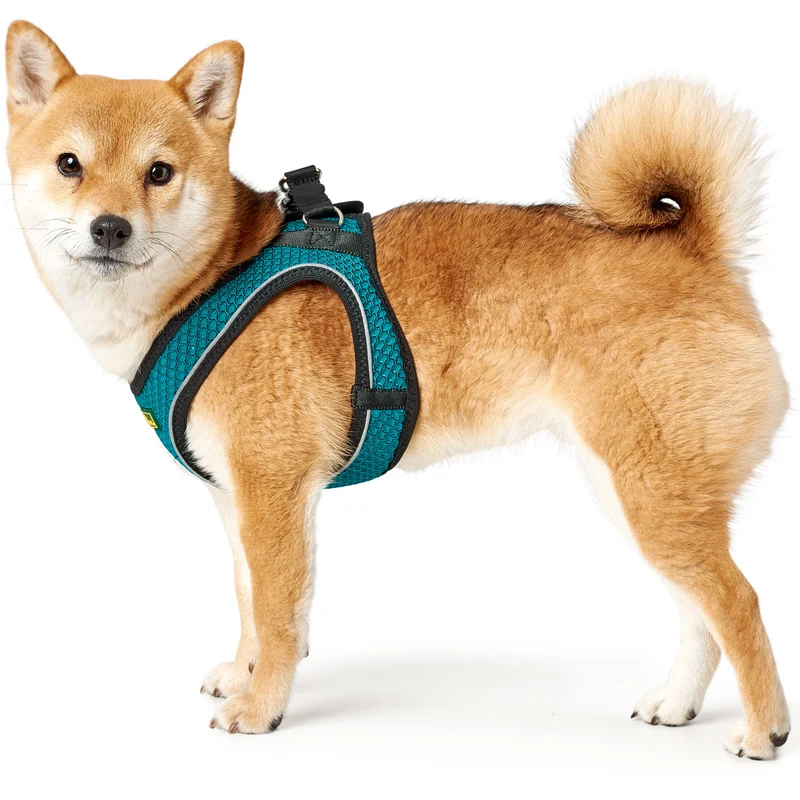 Geschirr Hilo Comfort