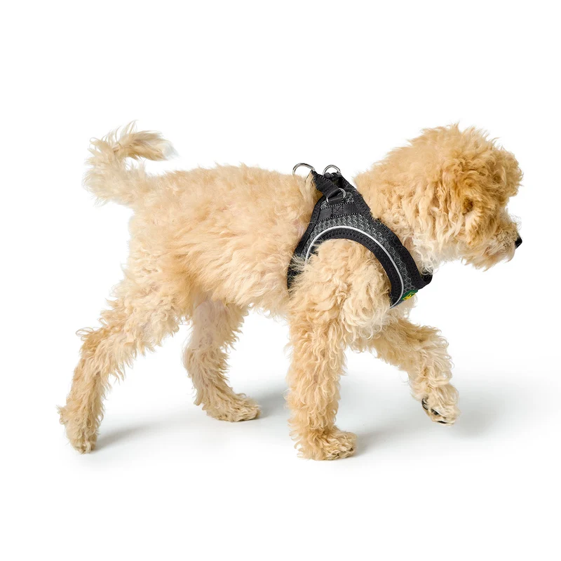 Geschirr Hilo Comfort
