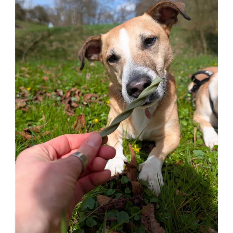 Garden Bites Dog - Fruity Dental Swirls