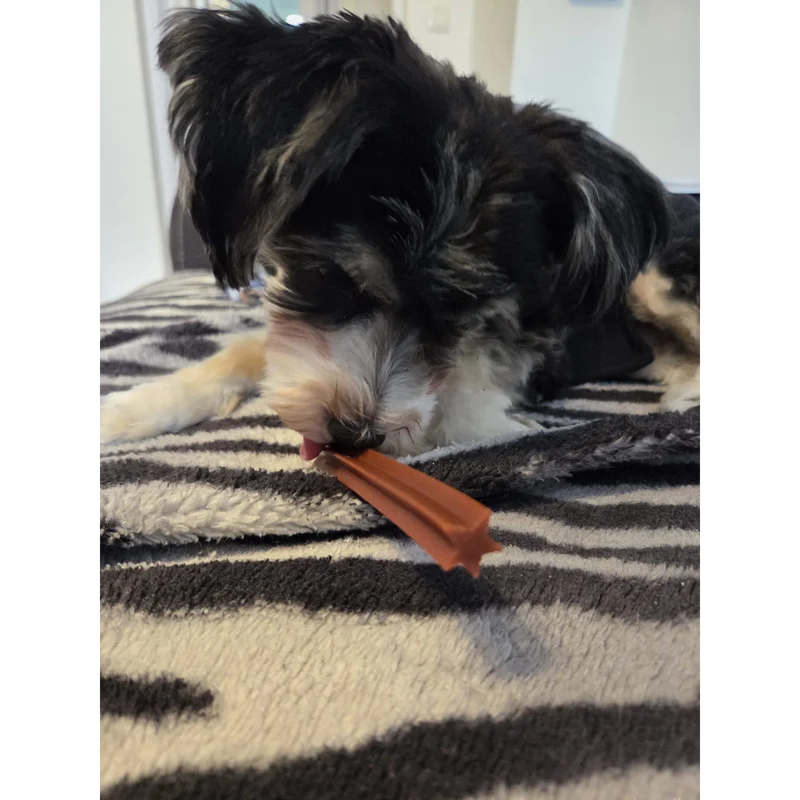 Garden Bites Dog - Dreifach Vegane Sticks