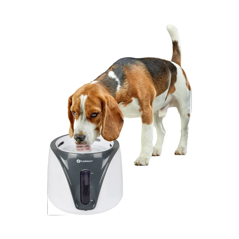 Trinkbrunnen Adriana – Frische Hydration für Katzen und Hunde