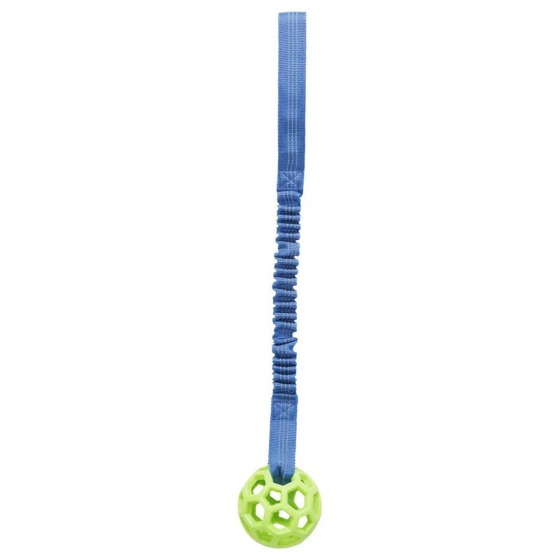 Bungee Tugger mit Ball