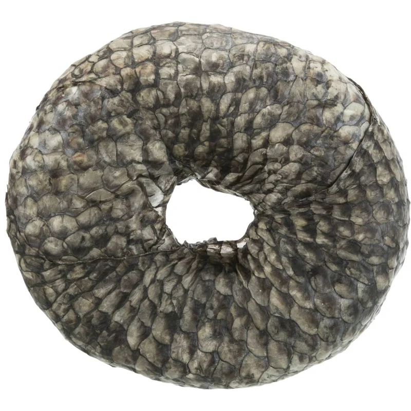 Denta Fun Ring mit Weißfisch, lose