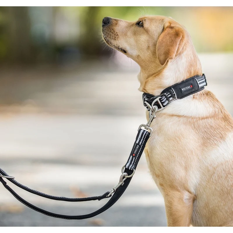 Wolters Active Pro Führleine für Hunde