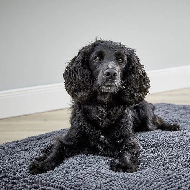 Wolters Cleankeeper Reise Pad Hundematte-saugfähig & waschbar