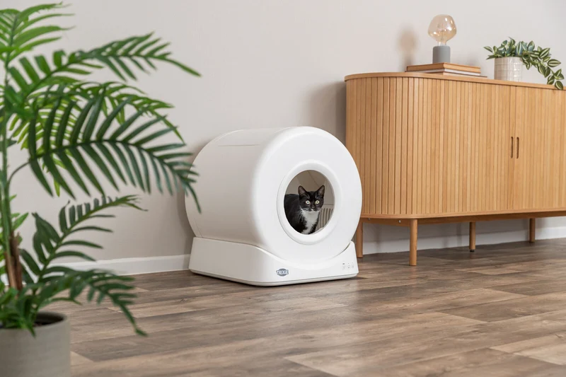 Smarte Katzentoilette