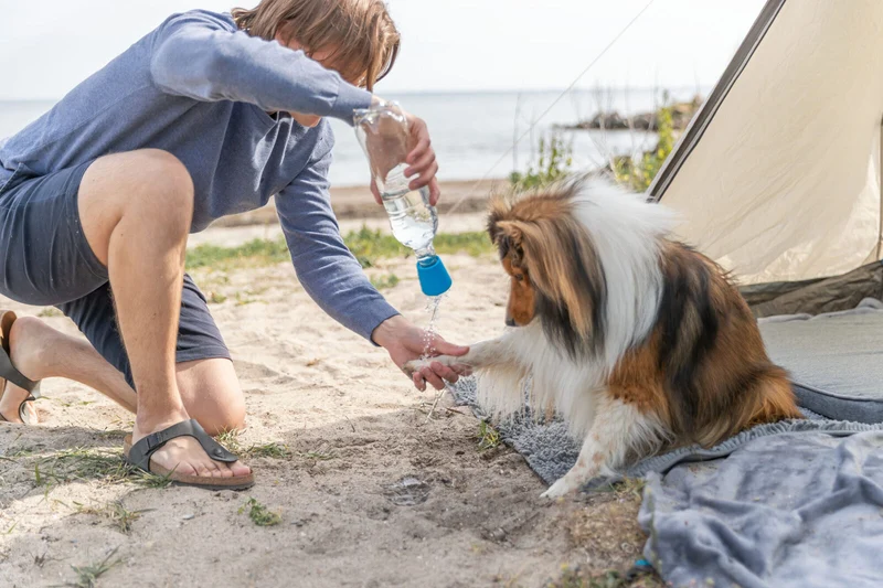 Mobile Hundedusche