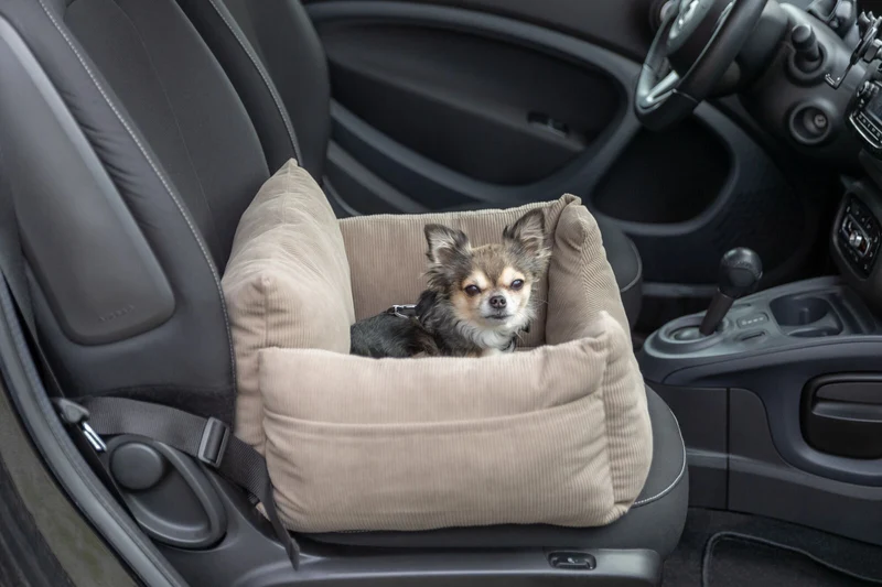 Autositz für kleine Hunde, Cord-Optik
